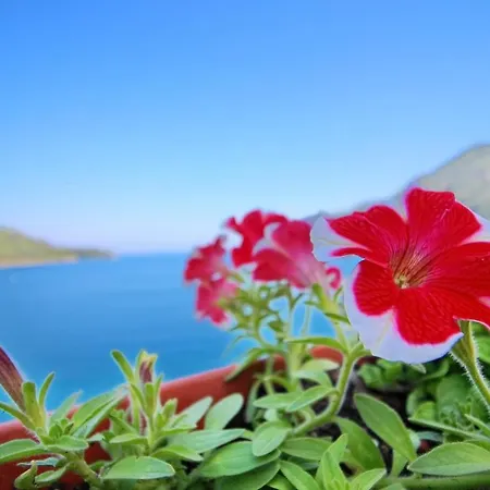 Filipovic - One-bedroom With Balcony And Sea View Apartmán *